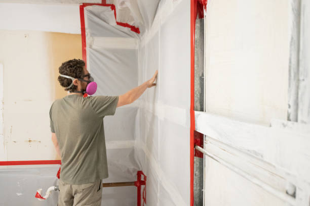 Best Mold Odor Removal Services  in Crystal Springs, MS